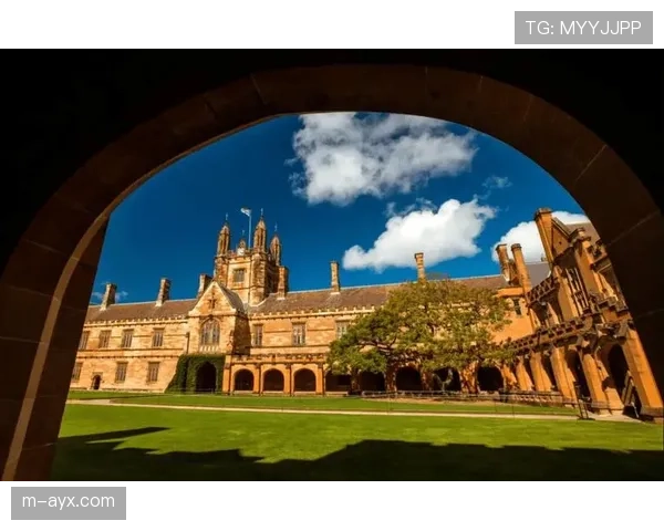 学术研究：常春藤盟校开始设立MMA运动史课程，探讨其文化与社会影响